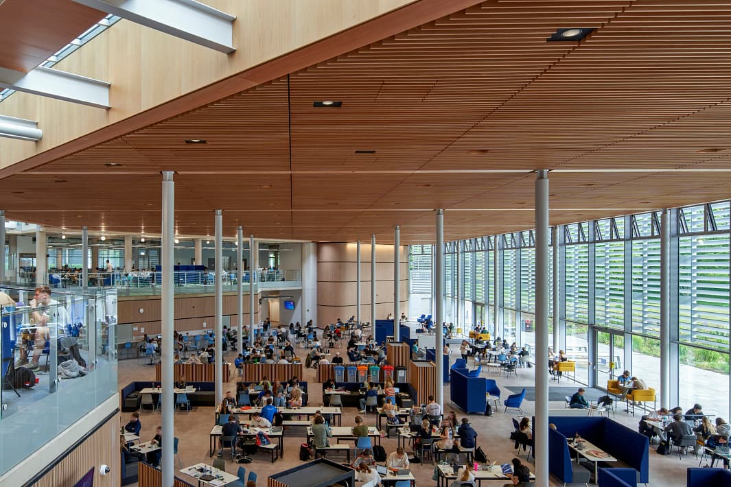 LED light: LED Lighting with Downlights for University of Bath